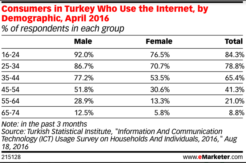 eMarketer İnternet & Türkiye Araştırması
